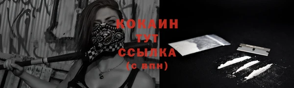 индика Абдулино