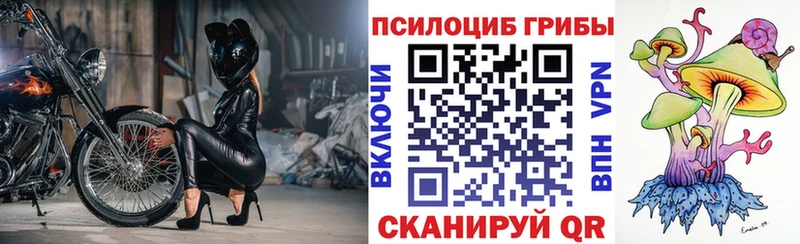 Псилоцибиновые грибы MAGIC MUSHROOMS  ОМГ ОМГ зеркало  Сурск 