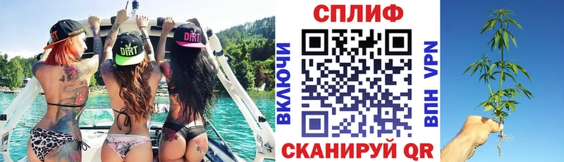 Каннабис сатива  Сурск 